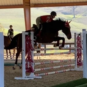 Meet your Posher, Emma